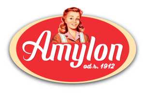 logo amylon w
